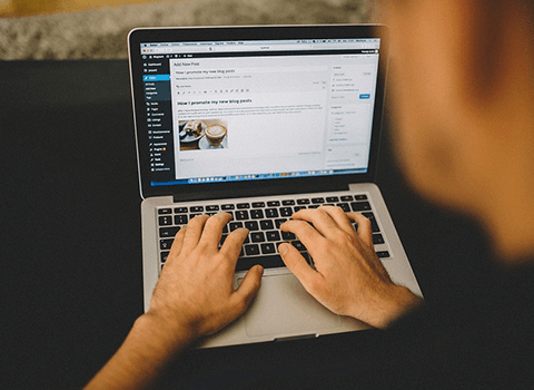 Content Insights Content Insights